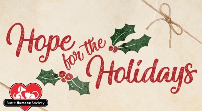 Giving Tuesday