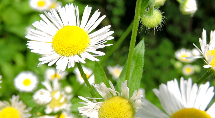 In Memory/ In Honor Of...