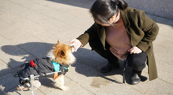 China Shelter Funds Campaign