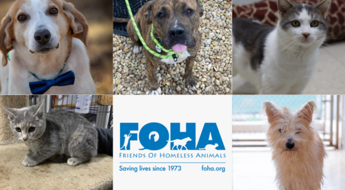 FOHA