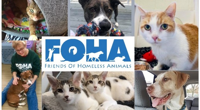 Sponsor a Pet