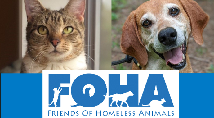 FOHA Guardians