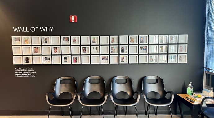 Wall of Why