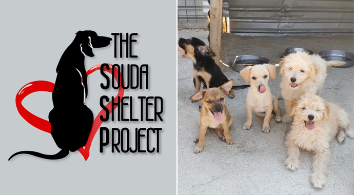 Souda Shelter Project