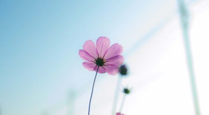 Resident Memorial Fund