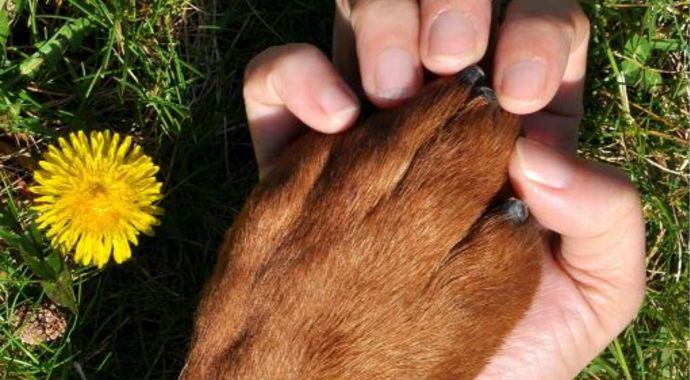 Make a Memorial Gift