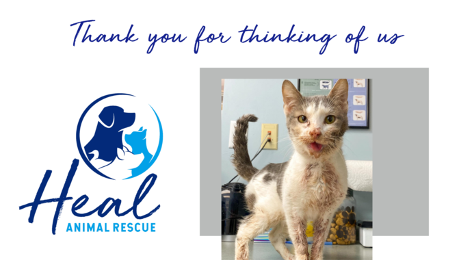 Sponsor an Animal