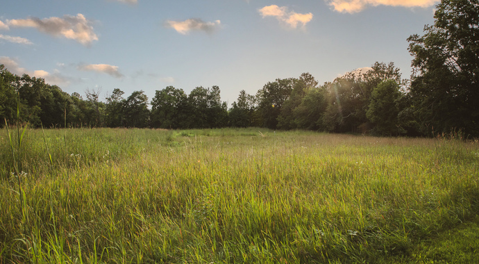 Memorial or Tribute Donations