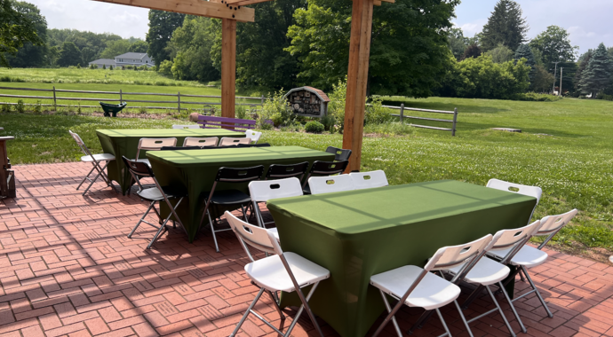 Wilcox-Bushley Homestead Bricks