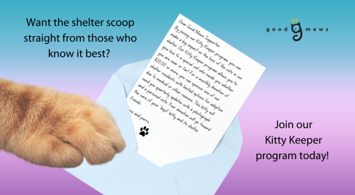Kitty Keeper
