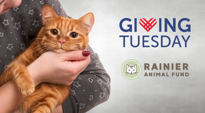 GivingTuesday 2025