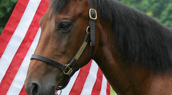 Valor Fund