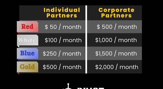 Individual Partner
