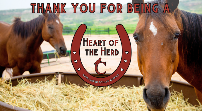 Become a Heart of the Herd with a Monthly Donation