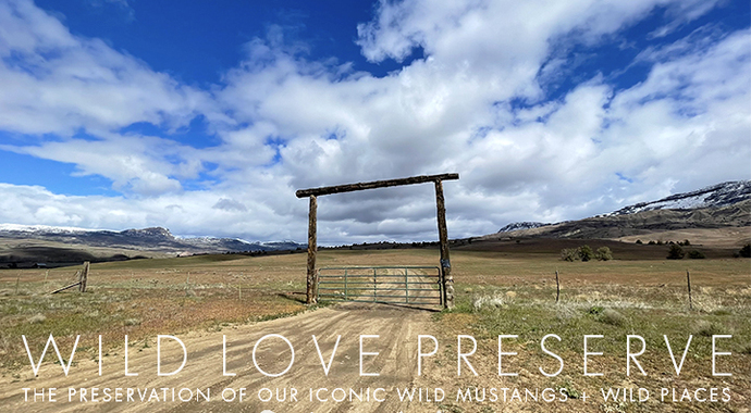 Wild Love's Wildlife Preserve