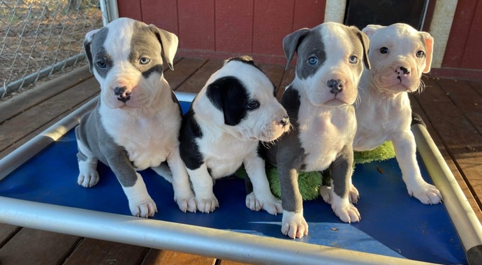 LSPCA Sponsorships/Community Partners