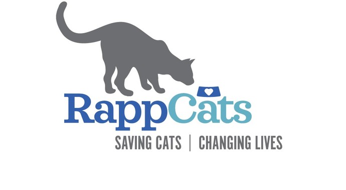 Website donate page donations