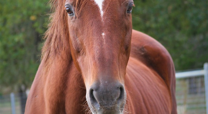 Jillian_Sponsorship