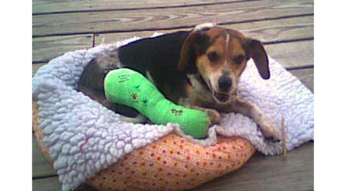 Franklin Fund