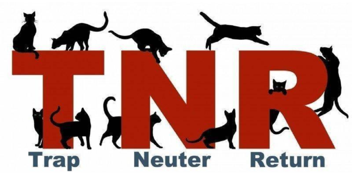 Trap, Neuter & Return