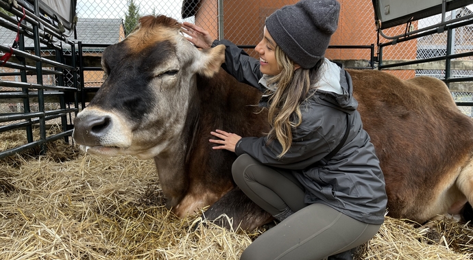 Donate to farmed animal advocacy