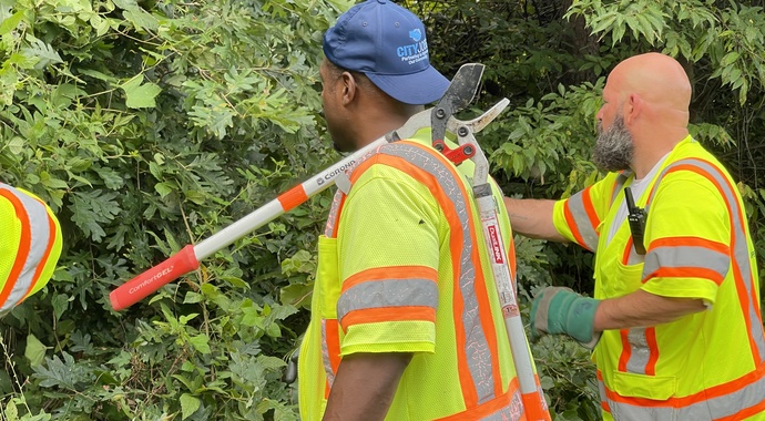 City Jobs/Operation Stream Shield