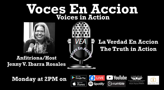 Voices In Action - Donations