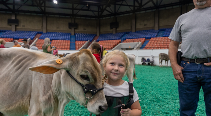 Junior Dairy