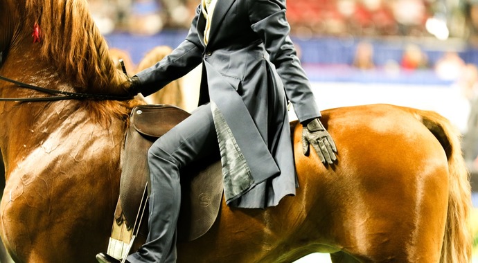 World's Championship Horse Show