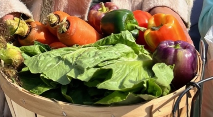 Urban Garden/Farm 2 Table