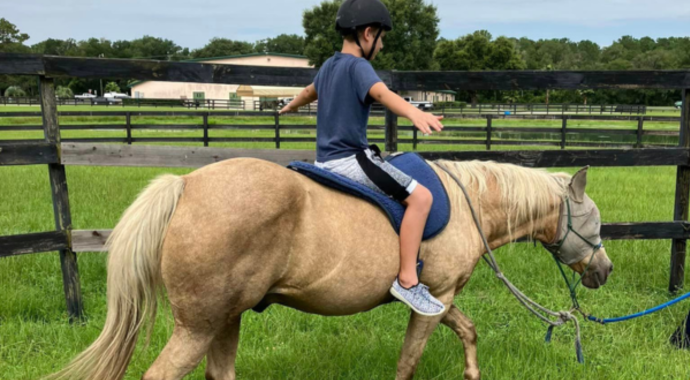 HOFYR Home Sponsorship