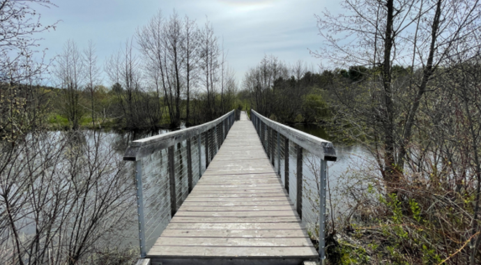 Boardwalk Project