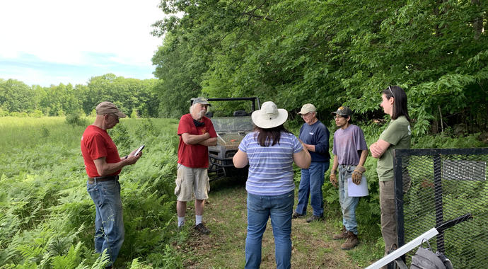 Forest of the Future