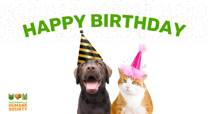 Send a Birthday Card