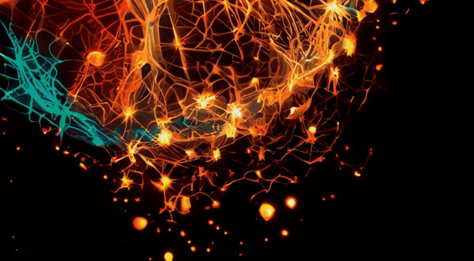 Project Severe Brain Injury