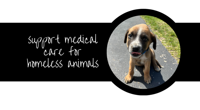 Support medical costs for homeless animals