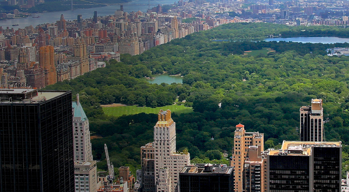 The University of Tokyo New York Office