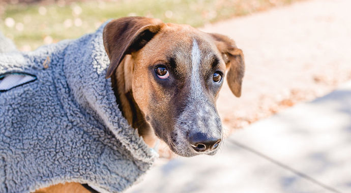 Beri's medical fundraiser