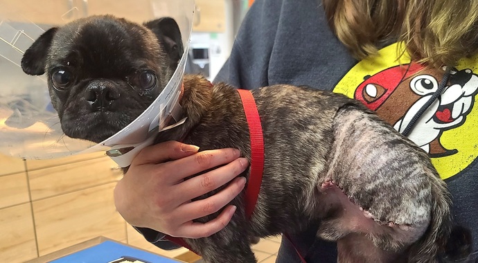 Tripp’s Road to Recovery