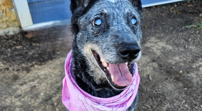 Emergency Medical Fund