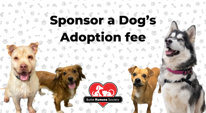 Dog Adoption Fee Sponsorship