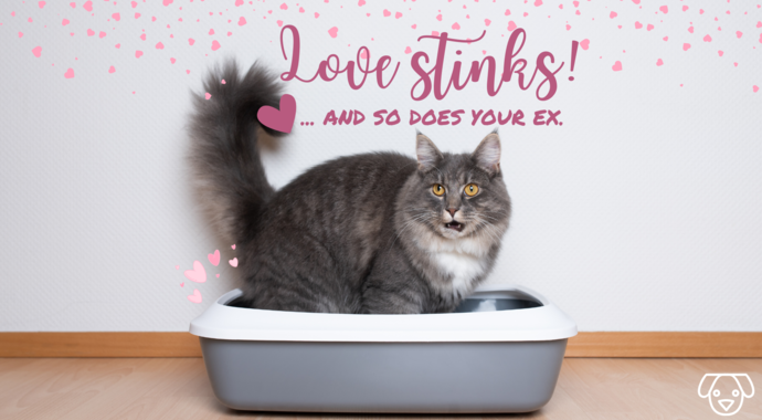 Love stinks... and so does your ex!