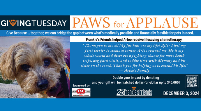 Giving Tuesday 2024