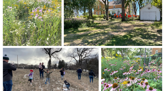 Prairie Oaks