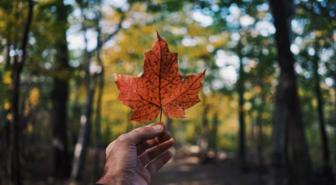 The Lucy of Anishinaabe Grant