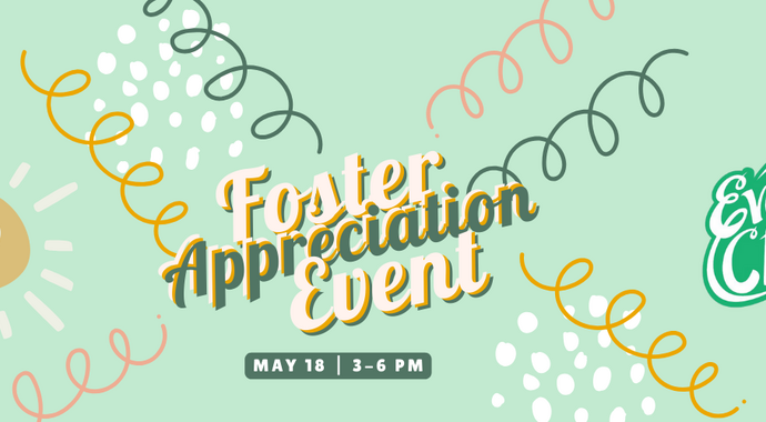 Foster Appreciation Event