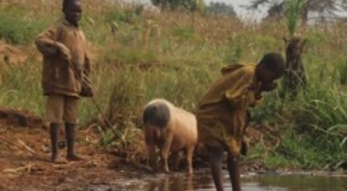 Mwaro-Kigarama: Ndava Community