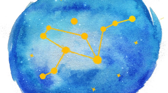 Constellation Charter School Food Forest Fundraiser