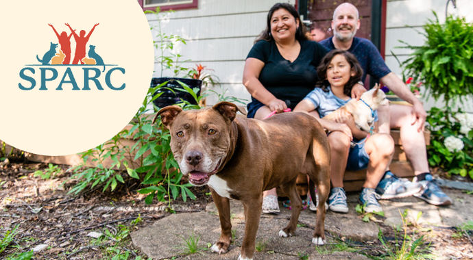 Supporting People and Animal Relationships for Change