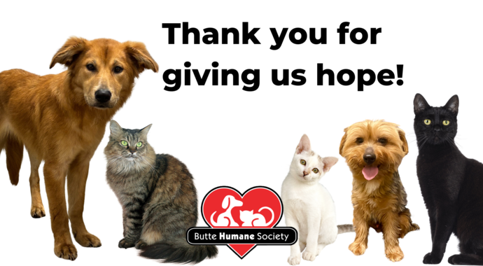 Adoption fee sponsorship